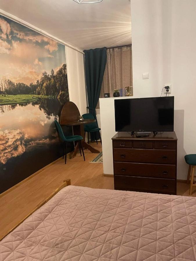 CM Studio Lejlighed Sighişoara Eksteriør billede
